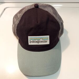 Patagonia Grays And Mint Green Trucker Hat